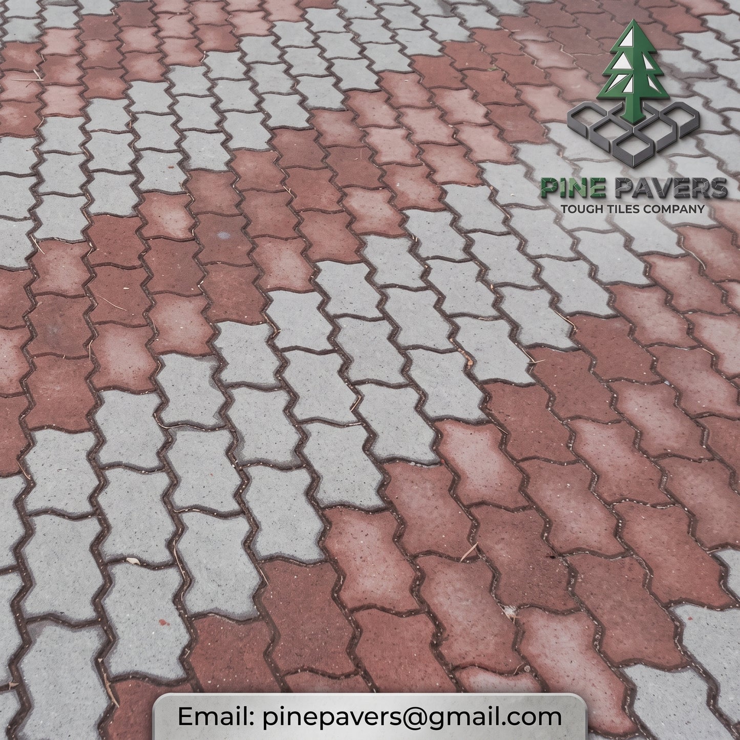 Floor Titles Colored
